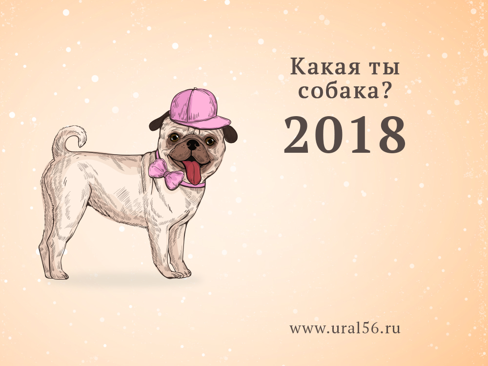 Гороскоп Урал56.Ру: Какая вы собака?