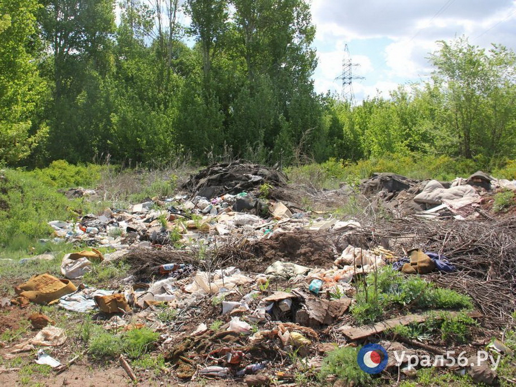 Несанкционированная свалка в овраге Березовая ростошь, Оренбург. Фото из архива