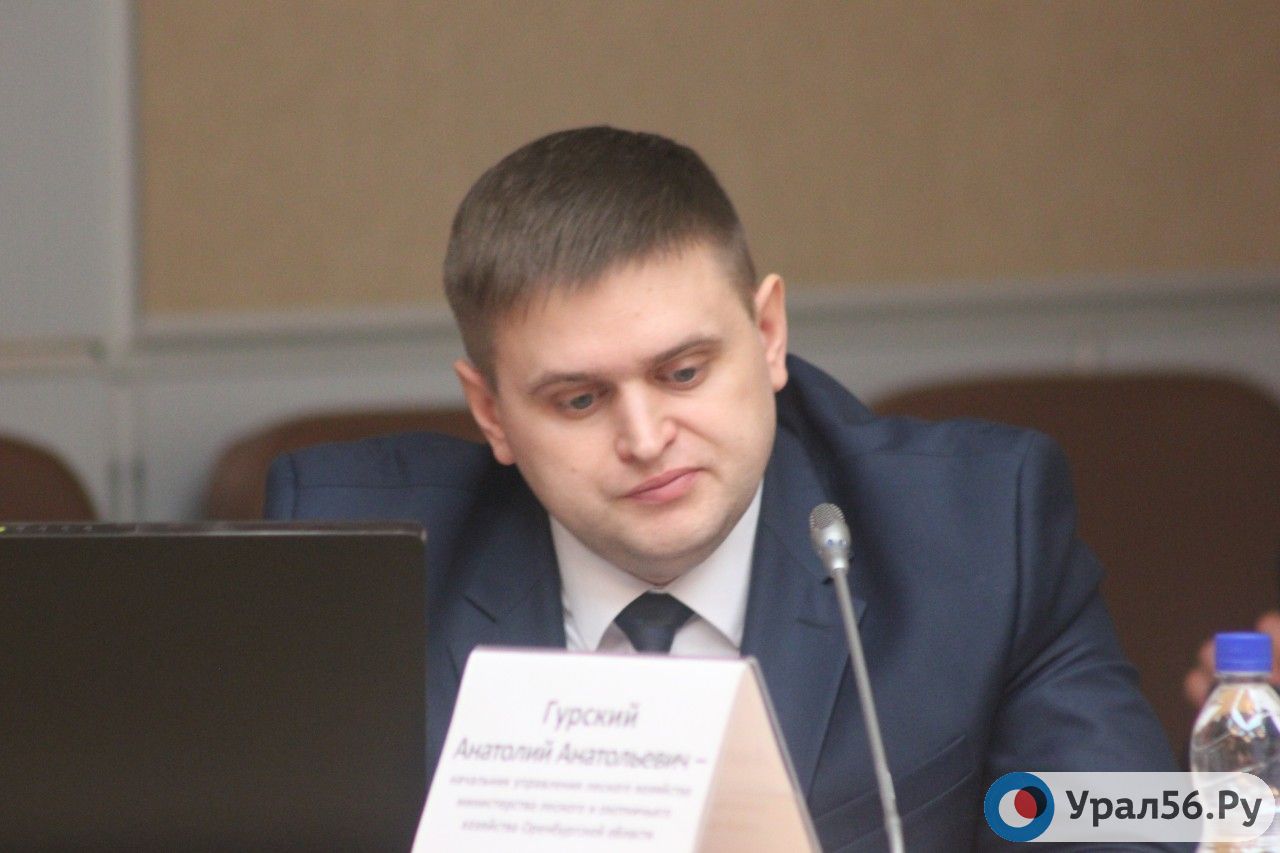 Анатолий Гурский