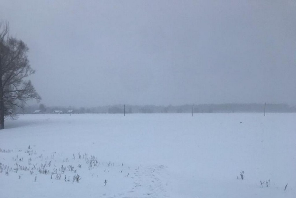 Заснеженная обочина. Фото: СУ СК РФ по Оренбургской области