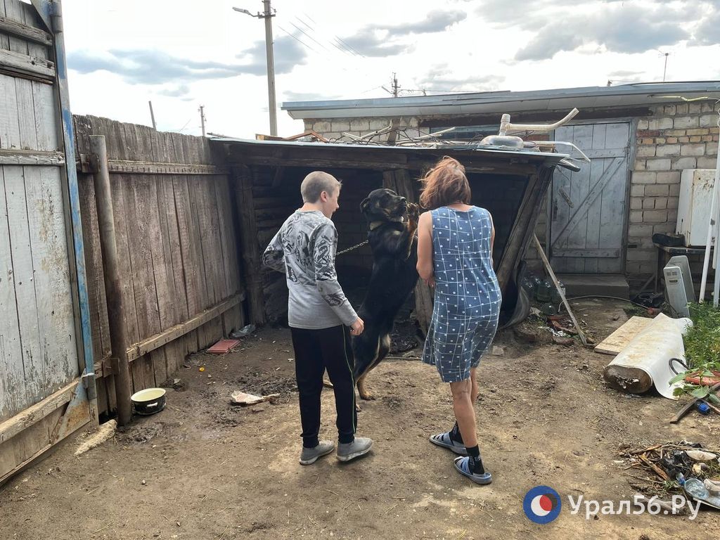 Дом по ул. 9 января, 139 в Орске