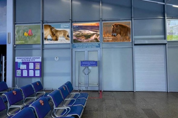 Гостей региона в Оренбургском аэропорту встречают баннеры с достопримечательностями местных заповедников