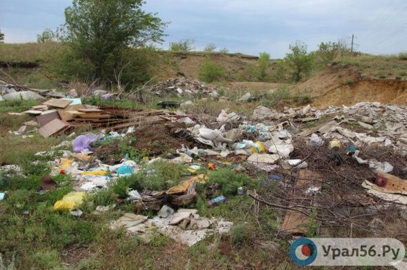 Инспекторы Всероссийского общества охраны природы посетят несанкционированные свалки Оренбургской области