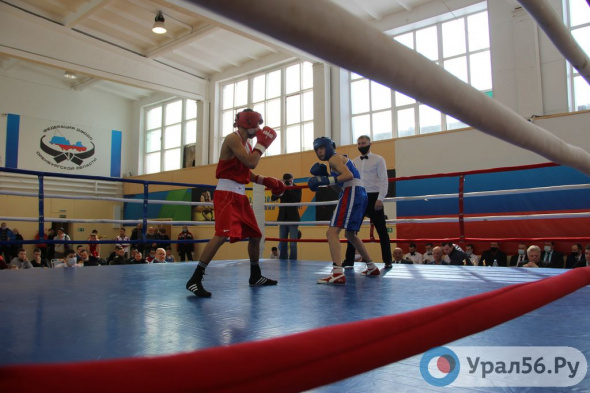 В Орске прошел финал первенства Оренбургской области по боксу среди юниоров
