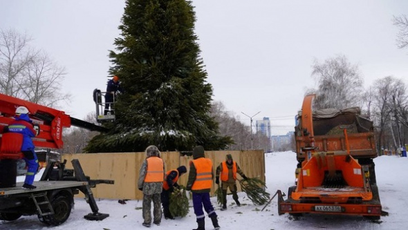 «Пустить на удобрение»: новогодние елки в Оренбурге решили переработать