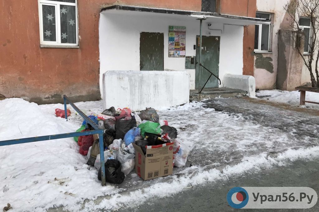 Мусор, сложенный возле одного из подъездов дома № 103А по проспекту Ленина, 10.02.2020г.