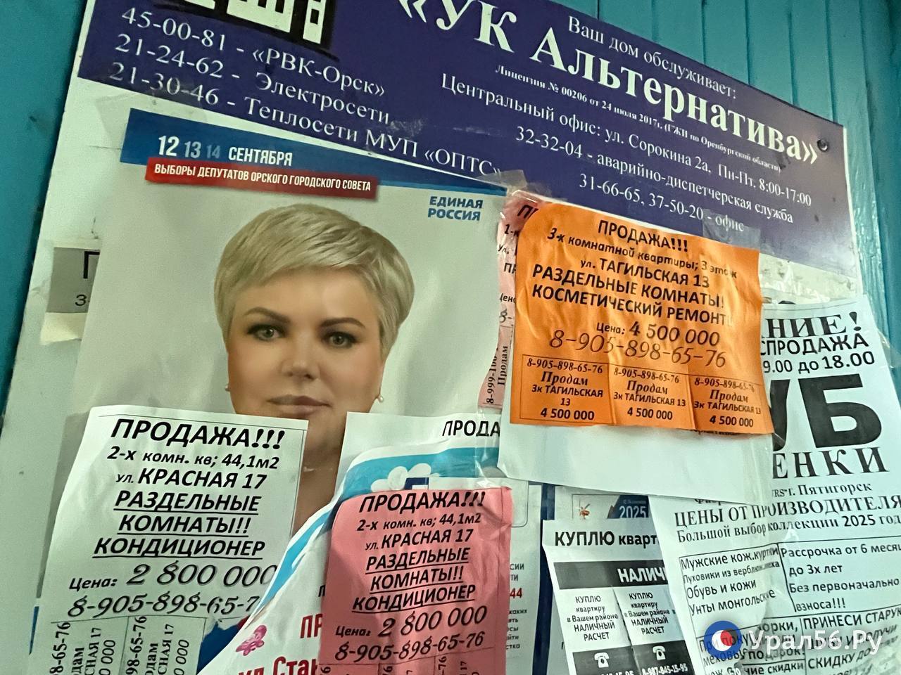 Листовки в Орске