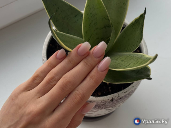 Маникюр не понравился: В Оренбурге мастера оштрафовали за конфликт с клиенткой