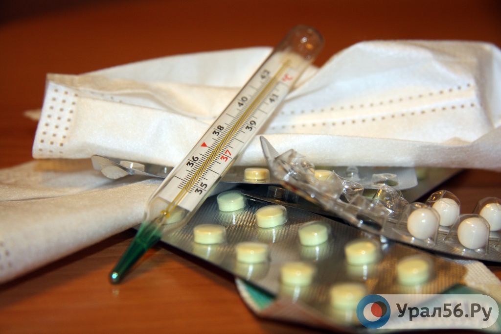 Уровень заболеваемости гриппом и ОРВИ среди взрослых Орска превышает нормы в 4 раза