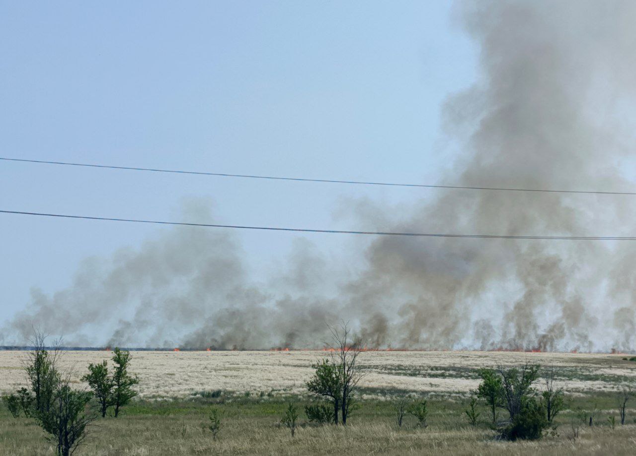 Горящее поле в Орске. Фото прислали подписчики