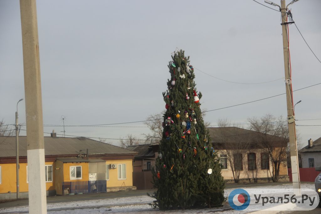 Елка на площади Кирилова Орска, 16.12.2019
