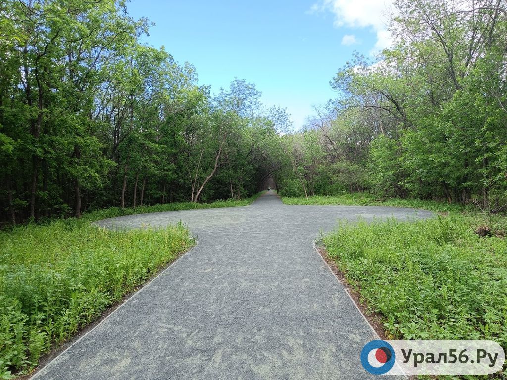 Одна из аллей парка «Березка», Оренбург (фото из архива)