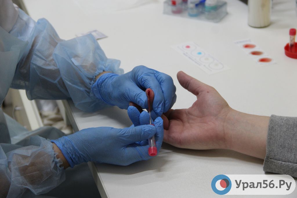 Сдача крови на клинический анализ