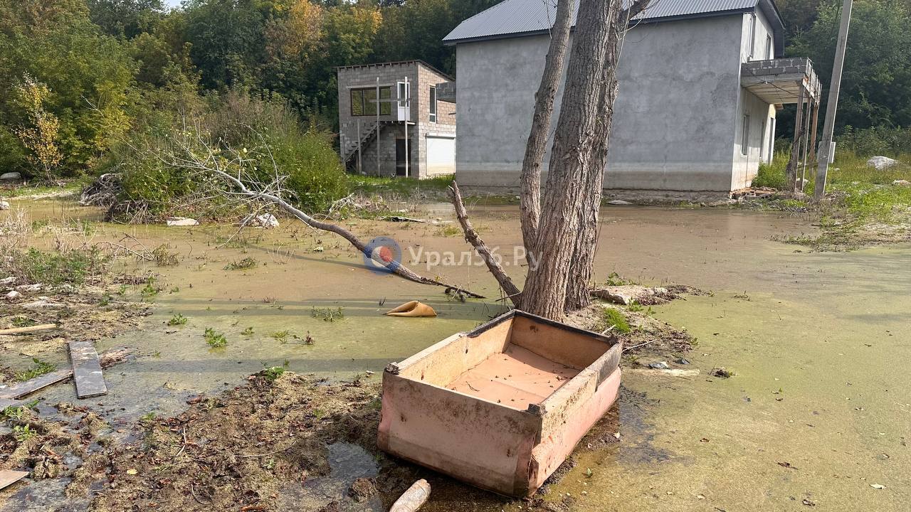 Вода в СНТ «Садовод» уже начала цвести