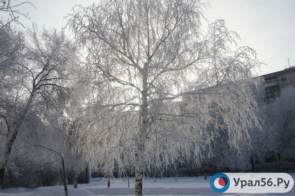Новогодний Оренбург 1 января