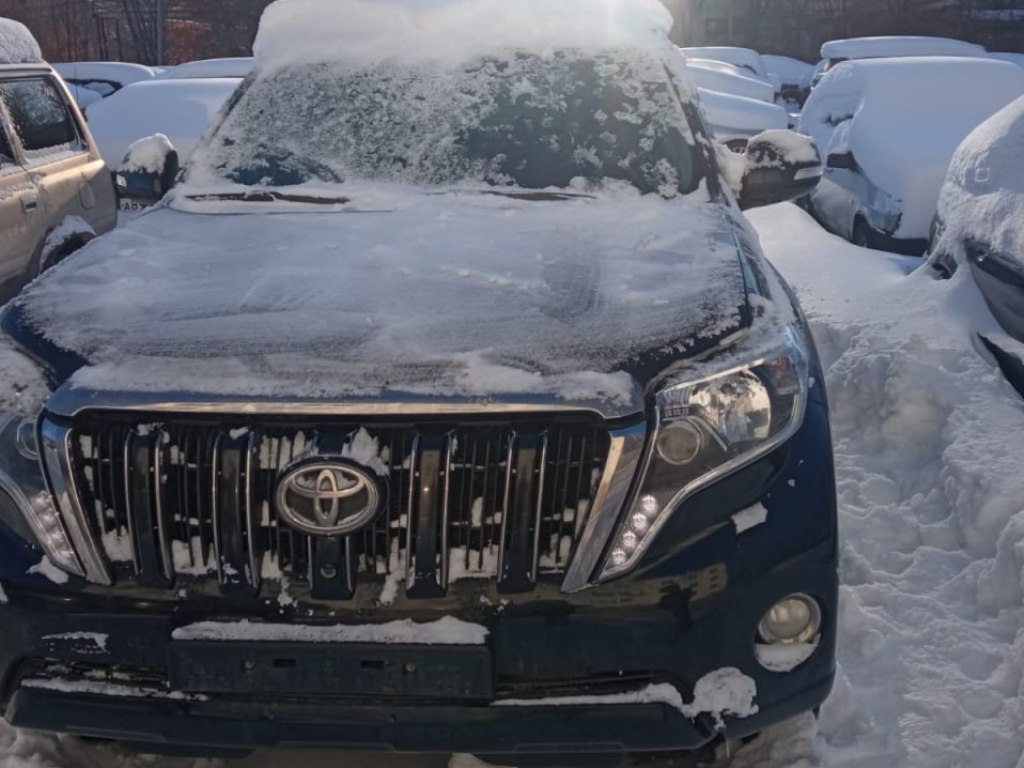Угонный автомобиль, фото УМВД по области