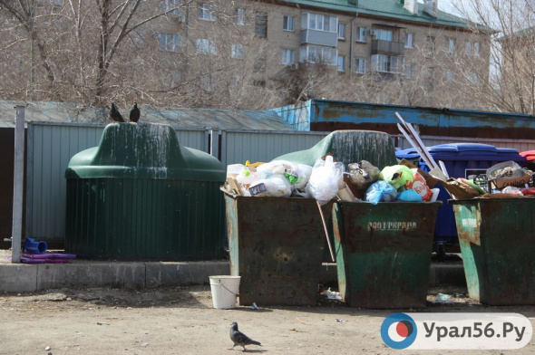 ООО «Природа» утверждает, что из 600 площадок для мусора в Орске нормам соответствует не более 20