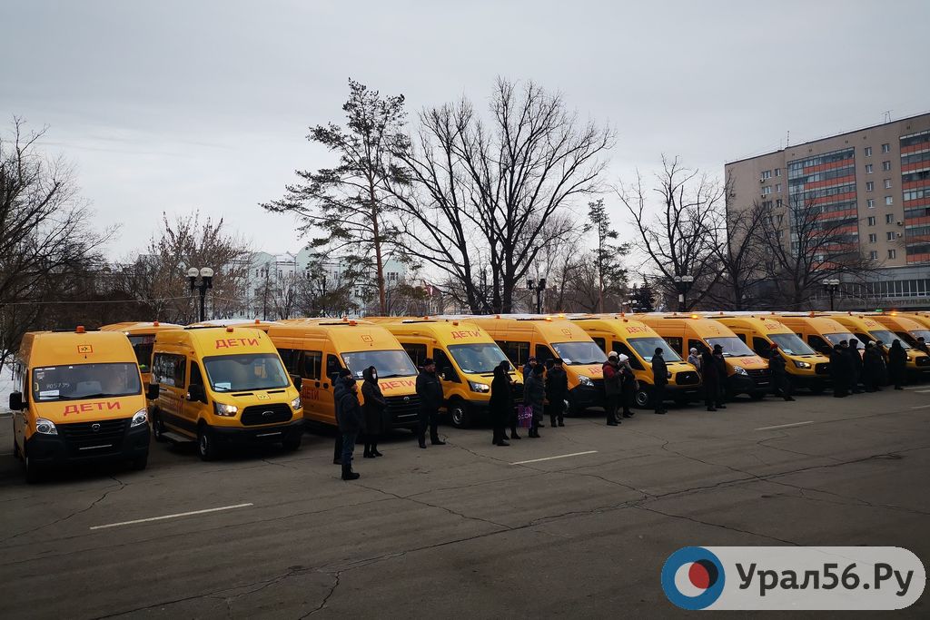 Новые автобусы