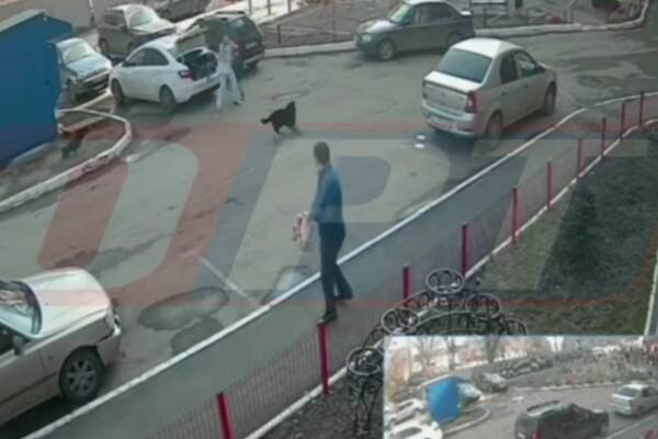 Момент нападения. Источник: Стоп-кадр из видео ТГ-канала «ОРТ Новости Оренбуржья»