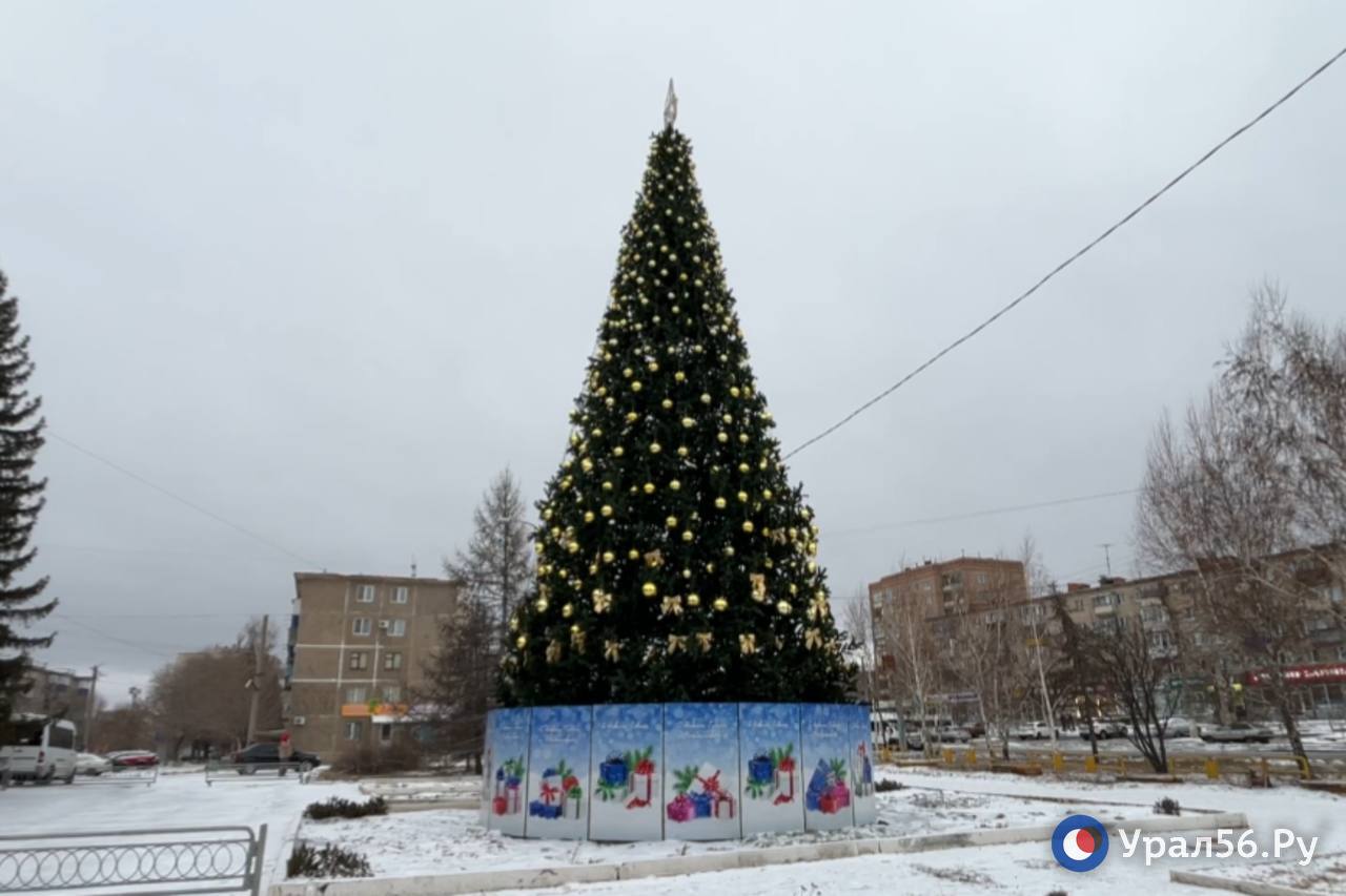 Елка на остановке «Луч» в Орске