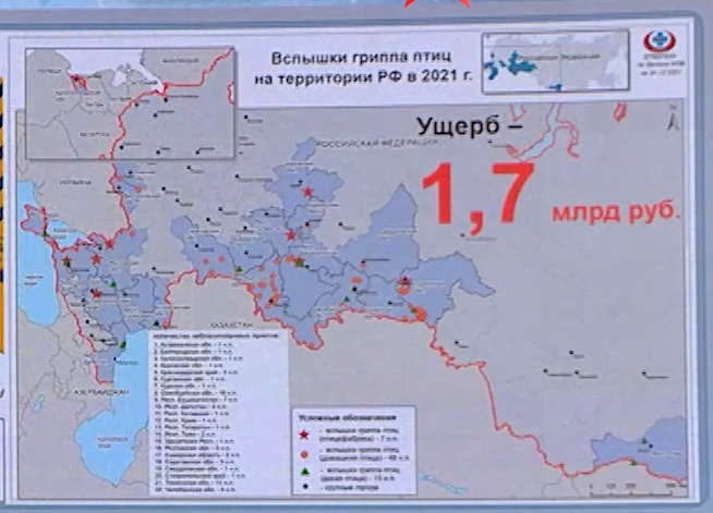 Оренбургская область имеет наибольшее количество очагов заражения на карте