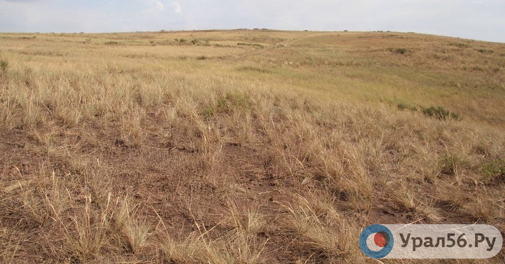 Степь в Оренбургской области