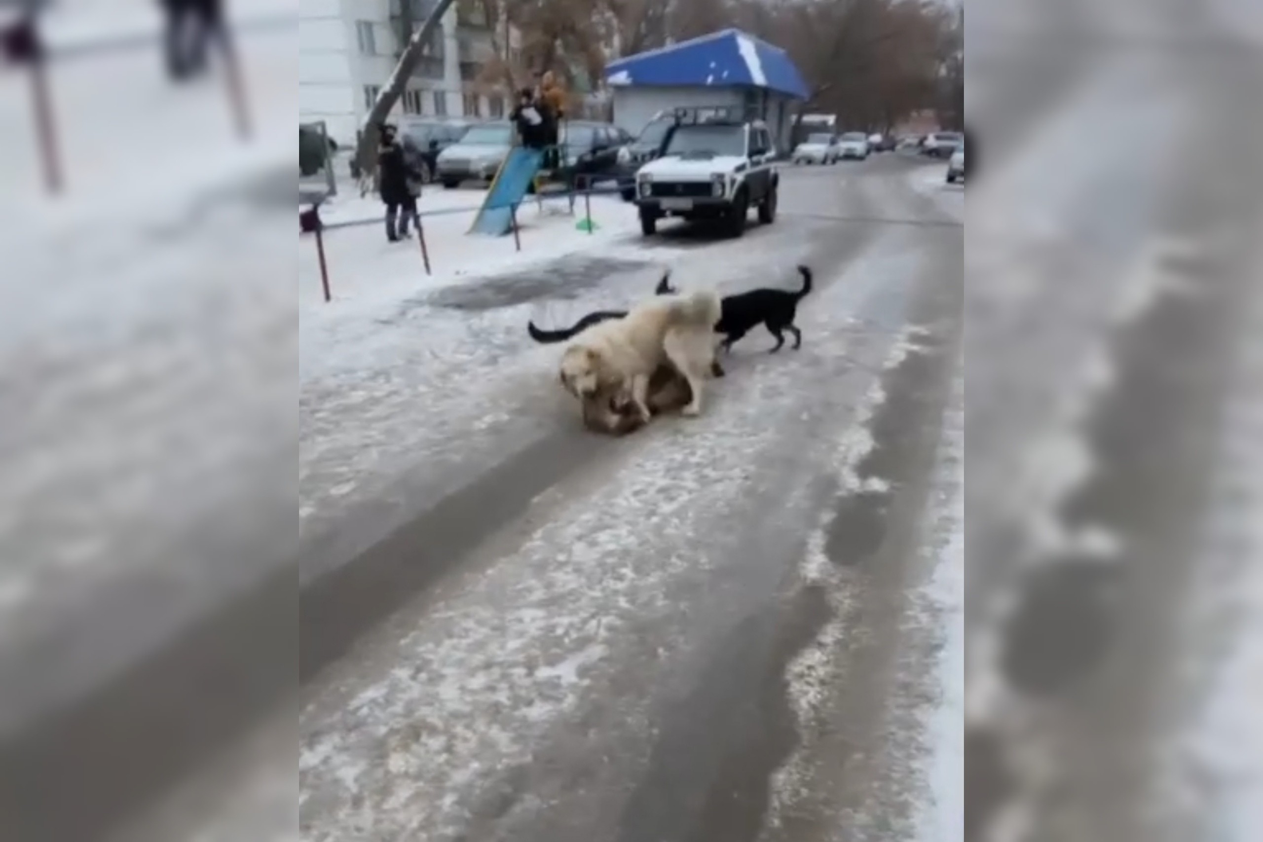 Стоп-кадр из видео