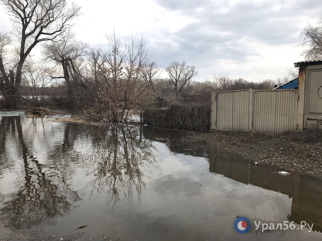 Река Урал в районе п. Мостострой Орска