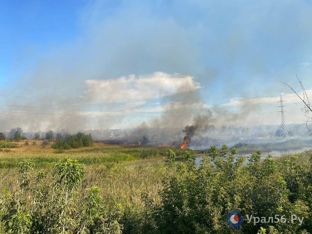 Горение травы и камыша в районе ул. Борисоглебской в Орске