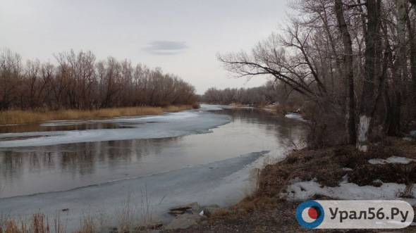 Реку Урал в Оренбургской области включили в масштабный проект по оздоровлению водоемов России