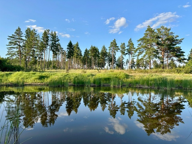 Красоты национального парка. Фото: Бузулукский бор