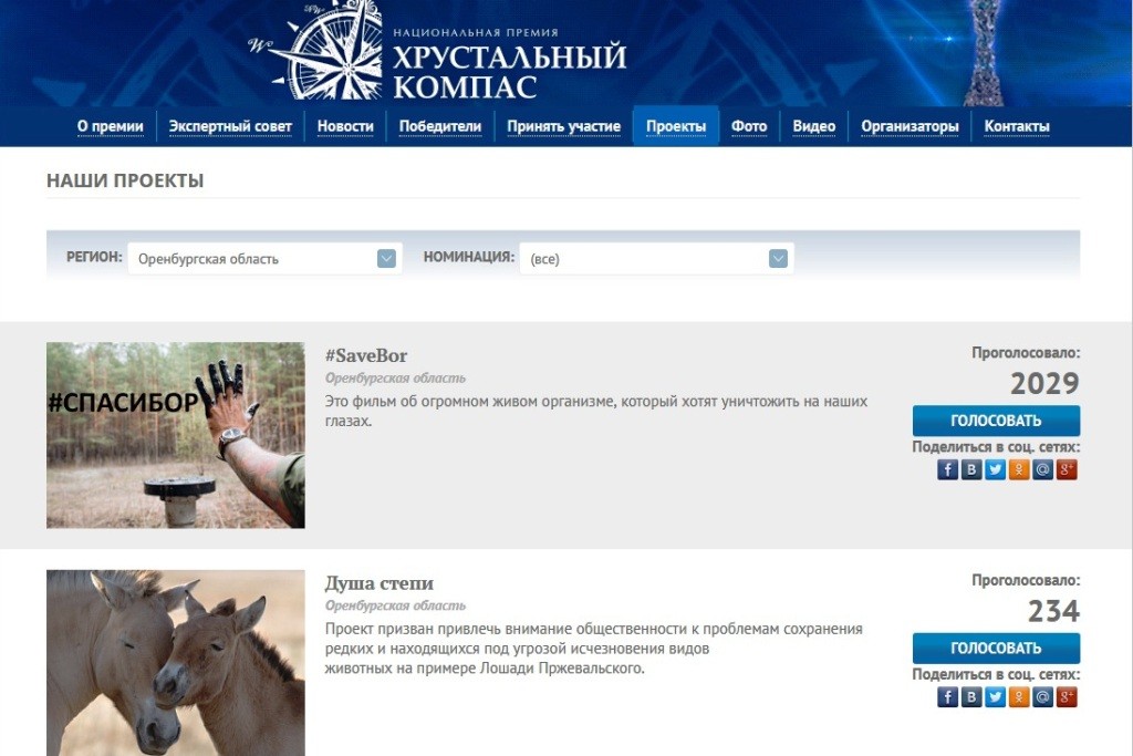 Скриншот со страницы голосования (от 05.04.2019)
