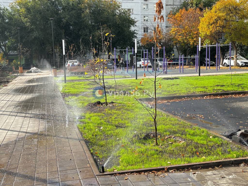 Деревья в парке Оренбурга. Фото из архива