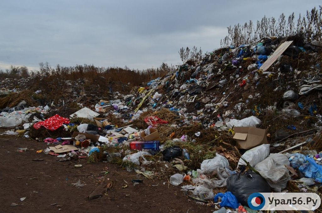 Несанкционированная свалка в Оренбургской области. Фото из архива