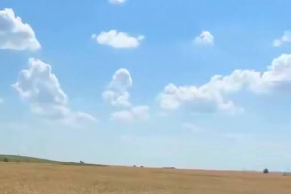 Поля Новосергиевского района. Источник: Стоп-кадр из видео врио губернатора