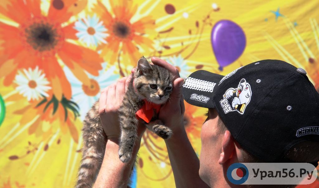 В Орске пройдет костюмированный парад животных