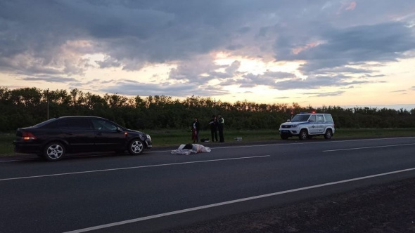На трассе Оренбург-Самара насмерть сбили мужчину, пытающегося поймать попутку