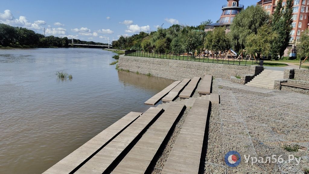 Урал в Оренбурге, август 2024 года