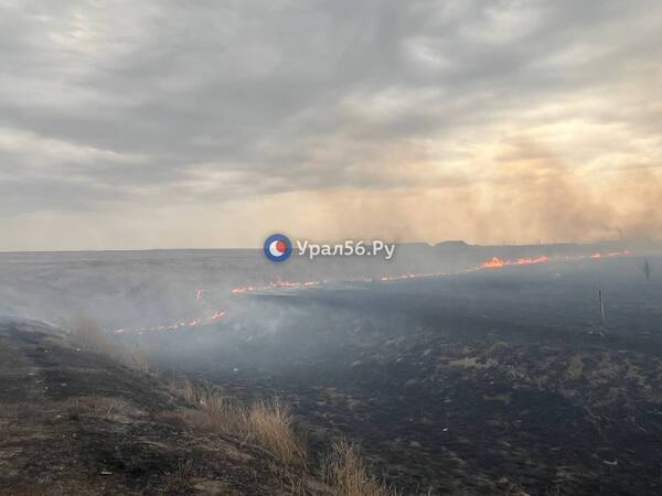 На месте происшествия 