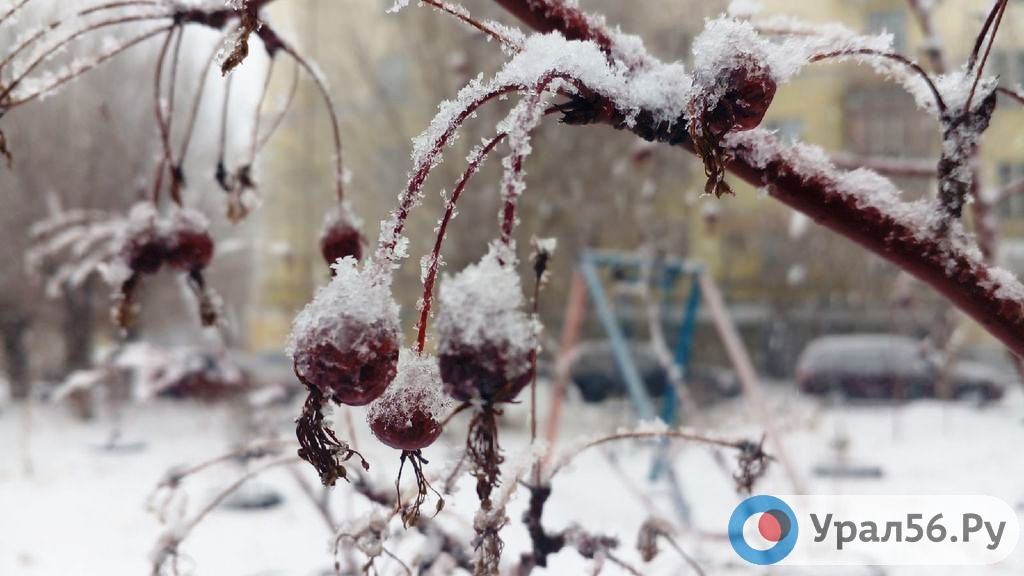 В Оренбургской области в ближайшие дни прогнозируются аномальные морозы до -32°С
