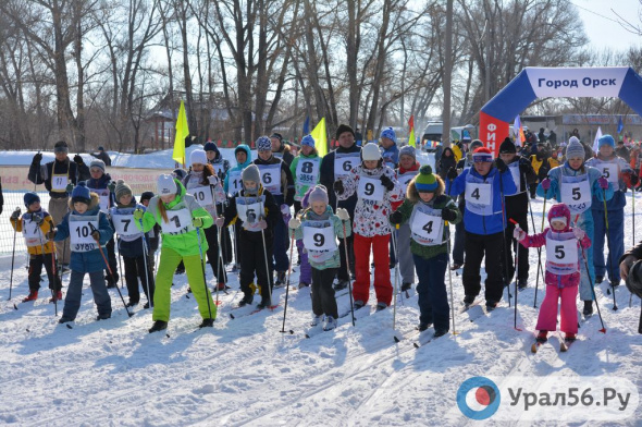 50 тыс человек из Оренбургской области примут участие в забеге «Лыжня России - 2023» 11 февраля