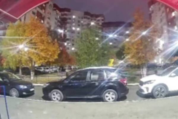Вид на двор. Стоп-кадр из видео, которое было снято на камеру домофона 