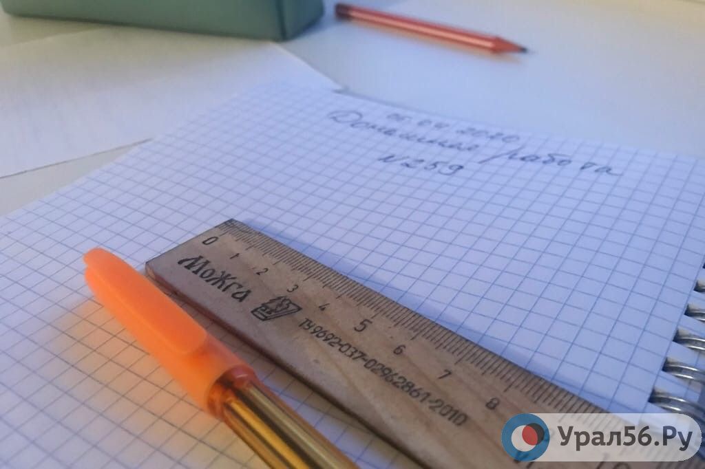 В Оренбургской области пока нет причин для перехода на дистанционное обучение