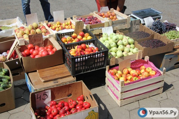 Овощи на улицах Орска продавали с повышенным содержанием нитратов