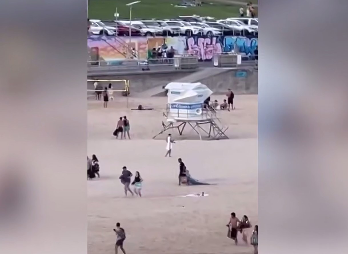 Кадр из видео, как люди убегают с пляжа в Сиднее. Видео: ТАСС