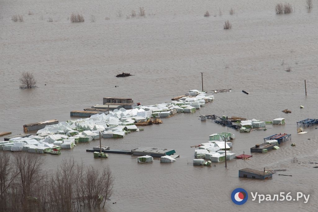Урал в Оренбурге продолжает расти - 11 метров 83 см