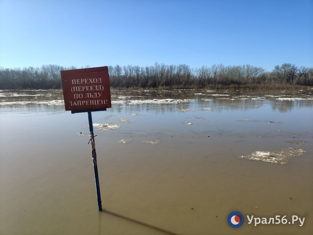 Уровень воды в реке Урал в Оренбурге и Орске продолжает повышаться
