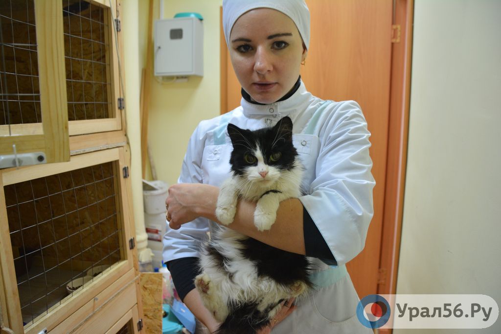 Мария Дмитриева с одним из подопечных