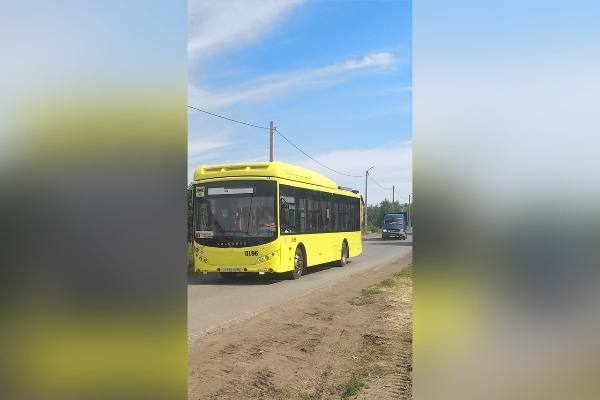 Шарлыкское шоссе в начале июля