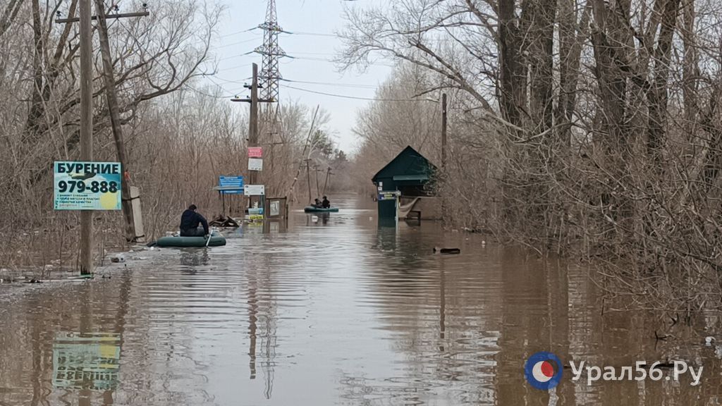 Паводок в СНТ Оренбурга